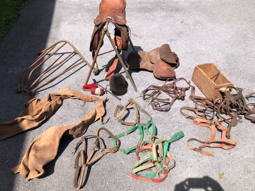Lot horse tack - tack, chaps